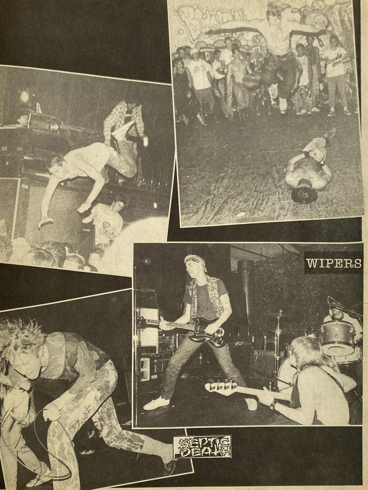 Imatges variades de bandes de punk tocant en directe, com Septic Death i Wipers